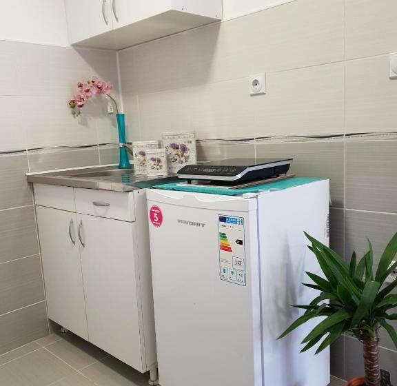 پانسیون Vila Stefanovic