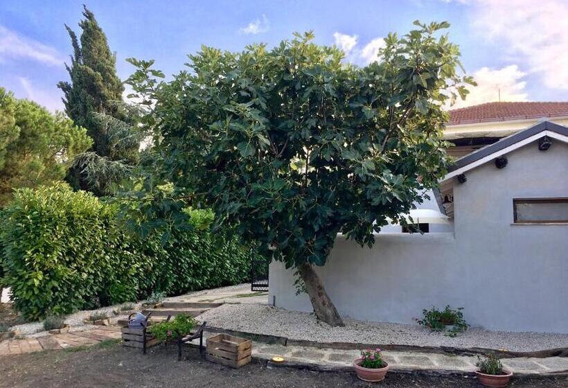 مبيت وإفطار C'era Una Volta Podere San Giovanni