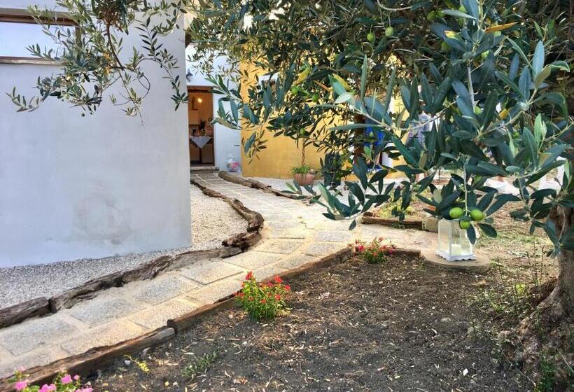مبيت وإفطار C'era Una Volta Podere San Giovanni