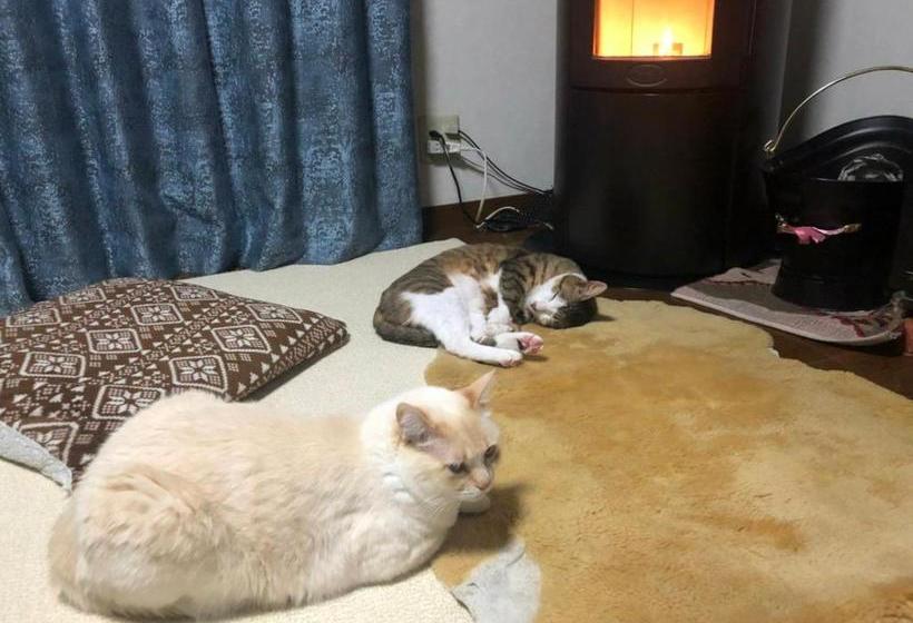 膳宿费 Guesthouse Gifu Suai