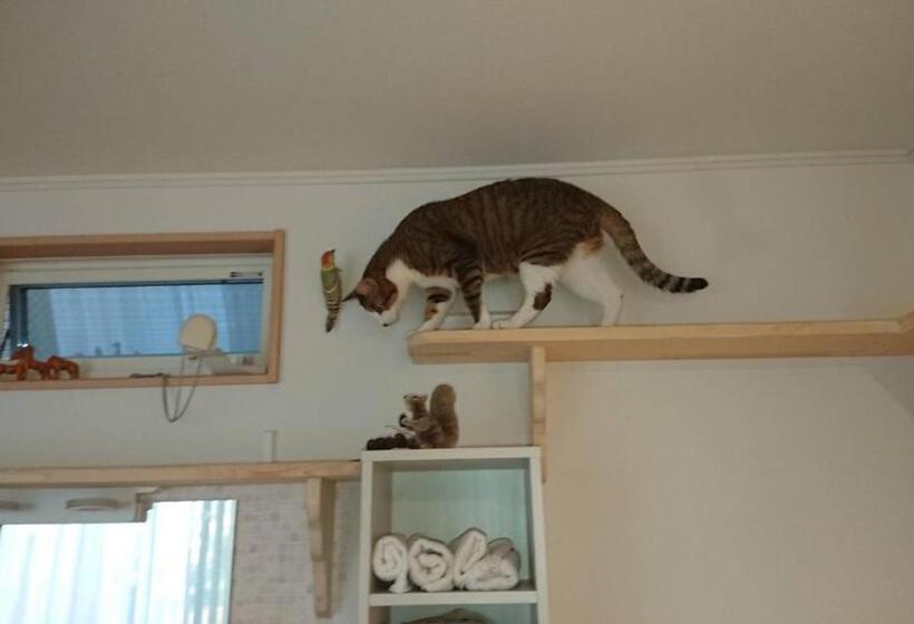 膳宿费 Guesthouse Gifu Suai