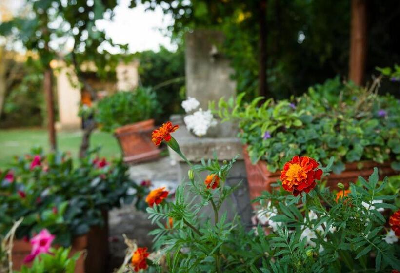 住宿加早餐  Agriturismo Antica Pinciana