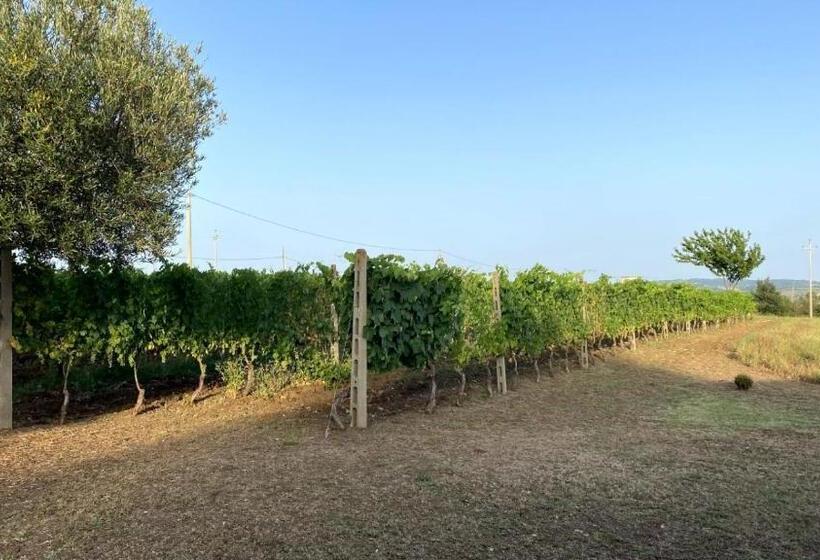 فندق Agriturismo Uliveto Gretacci