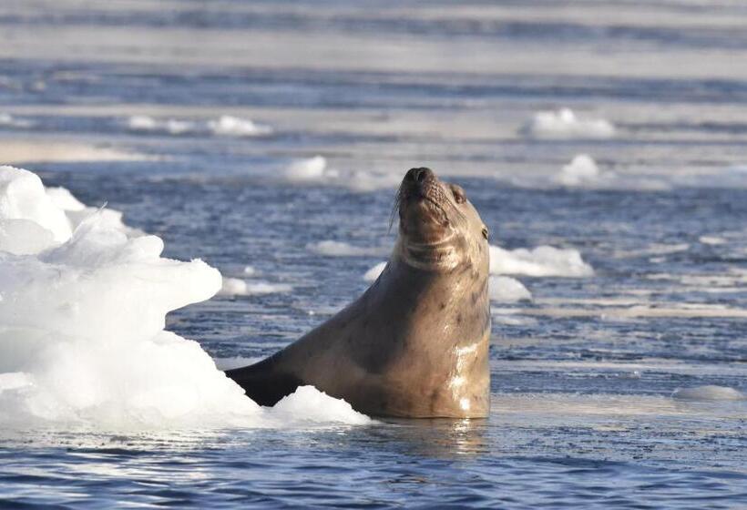 ペンション Shiretokoserai
