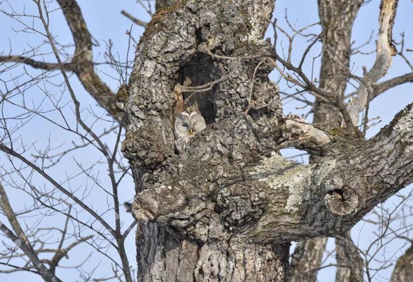 ペンション Shiretokoserai