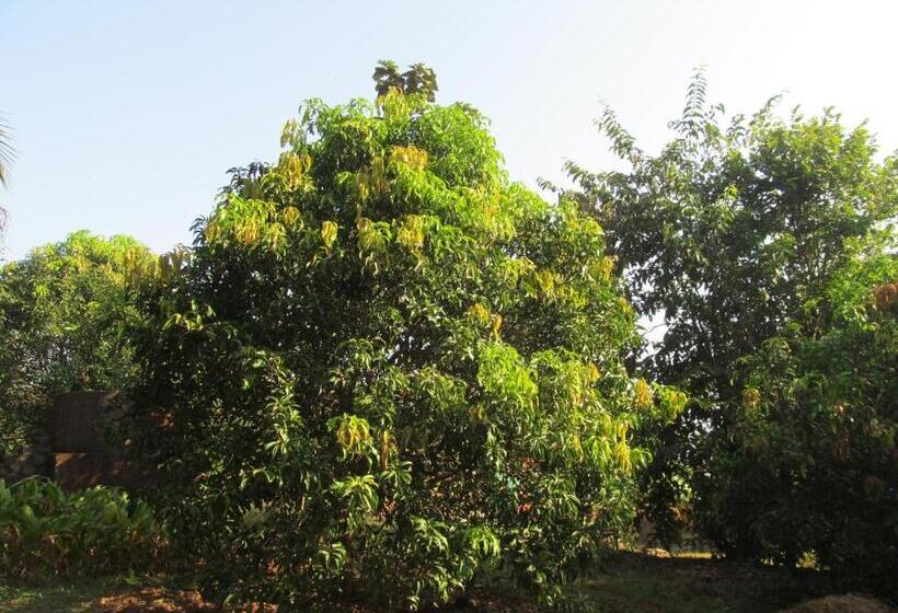 بنسيون Vidya Konkan Agro Tourism