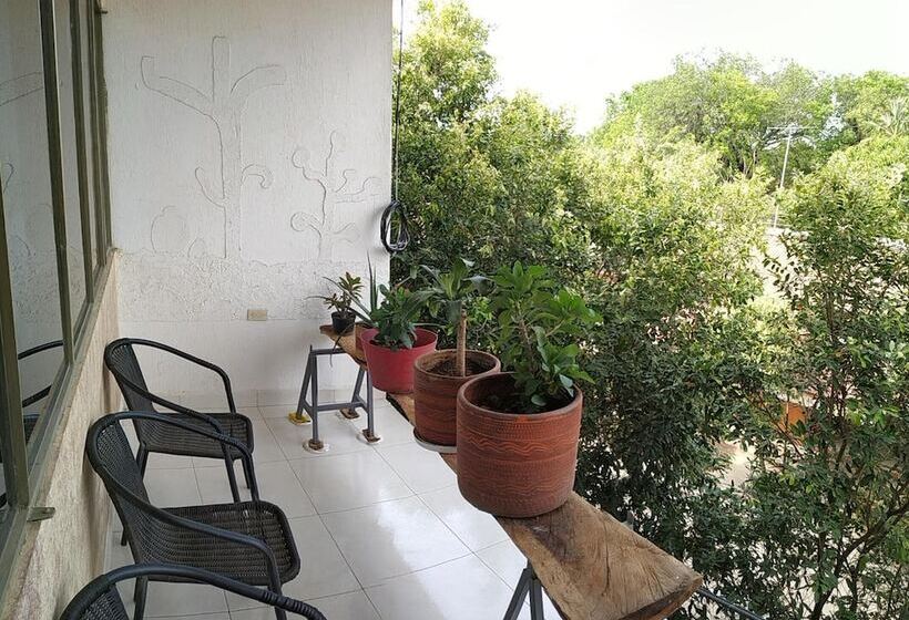 هتل Merkezi Saray