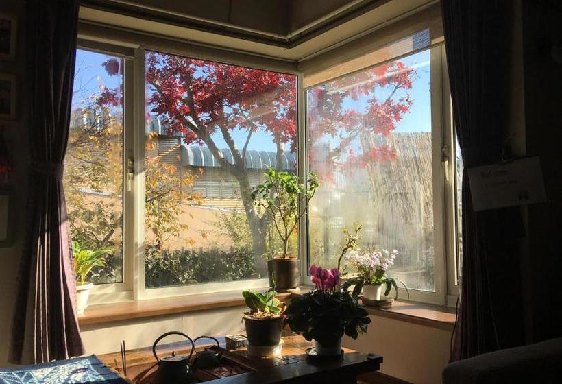 بنسيون Guest House Chara