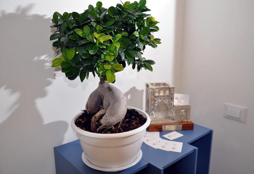 تختخواب و صبحانه Kalurya