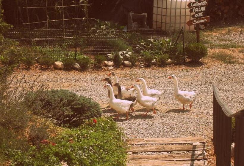 בית מלון כפרי Agriturismo Al Robale