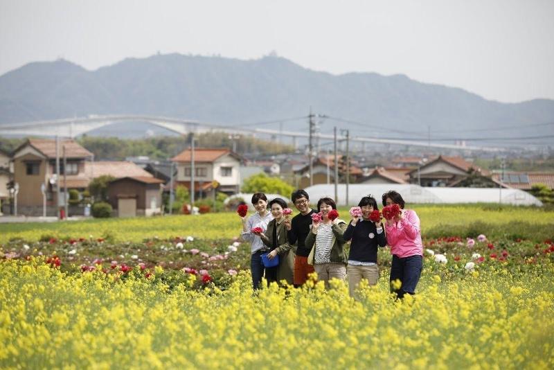 پانسیون Cocoreto The Guesthouse Daikon Island