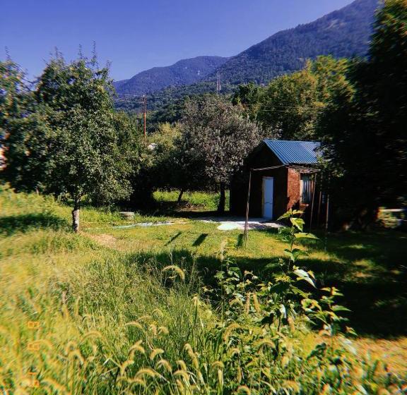 پانسیون V Gostiakh U Maii