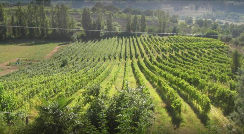 בית מלון כפרי Vigna Della Ripa