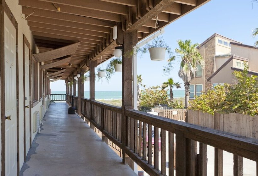 مُتل The Palms Resort