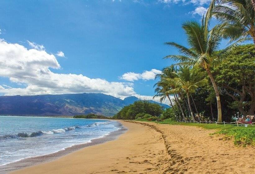 Central Maui Hostel