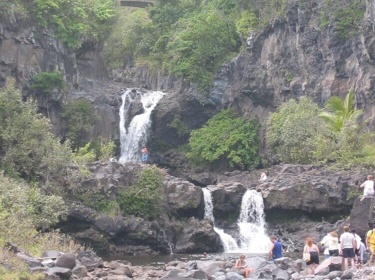 Central Maui Hostel