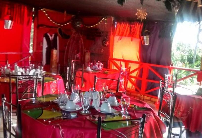 هاستل Posada Nativa Licy