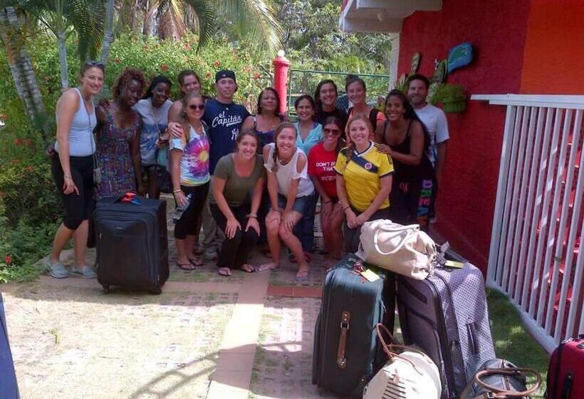 هاستل Posada Nativa Licy