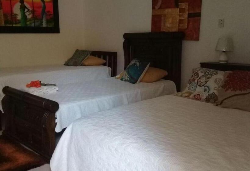 هاستل Posada Nativa Licy