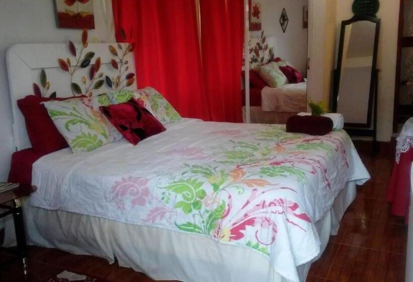 هاستل Posada Nativa Licy