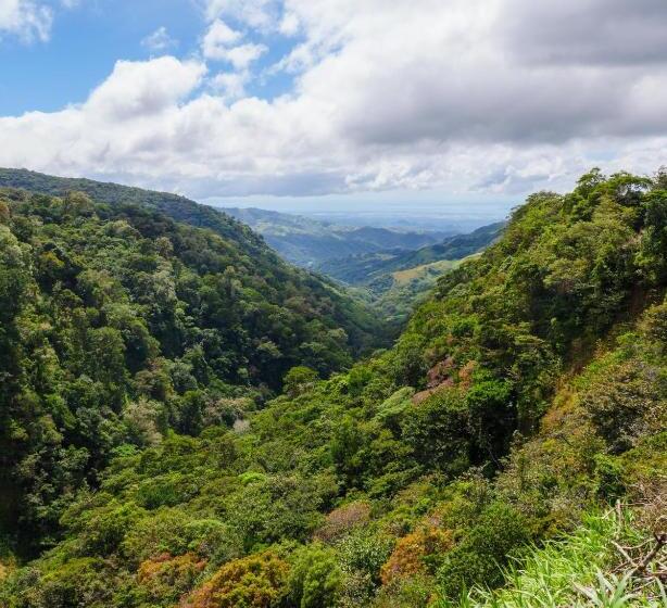 تختخواب و صبحانه Hostel Cattleya   Monteverde, Costa Rica