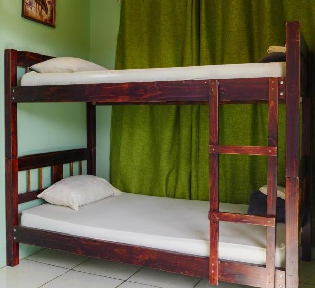 تختخواب و صبحانه Hostel Cattleya   Monteverde, Costa Rica