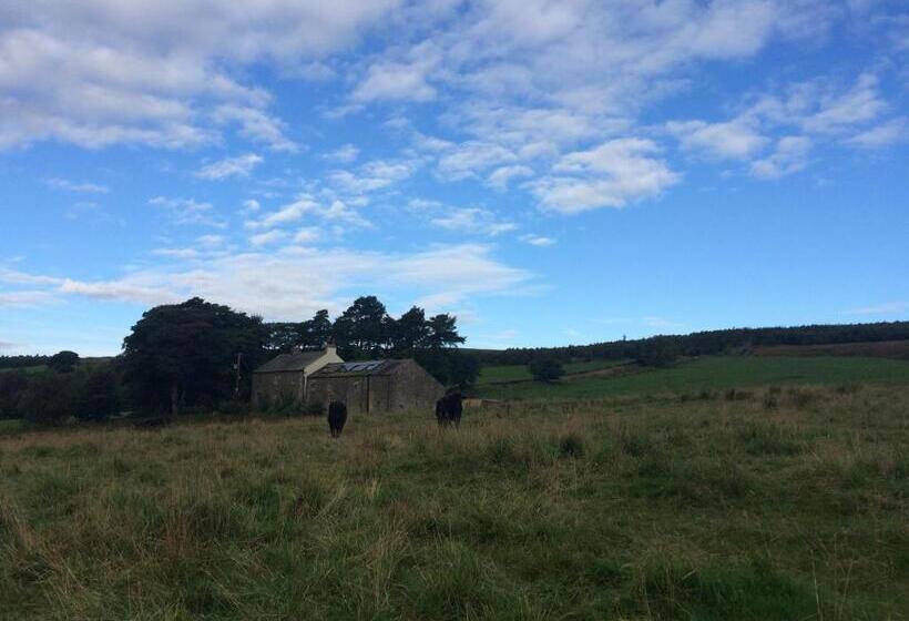 Dale House Barn And B&b