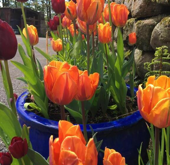 Dale House Barn And B&b