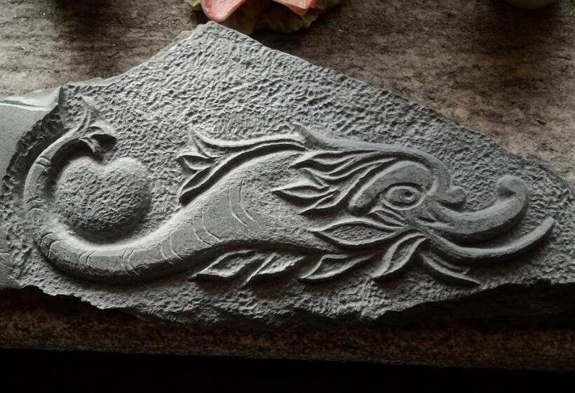 Отель Delfin Dal Pianhol