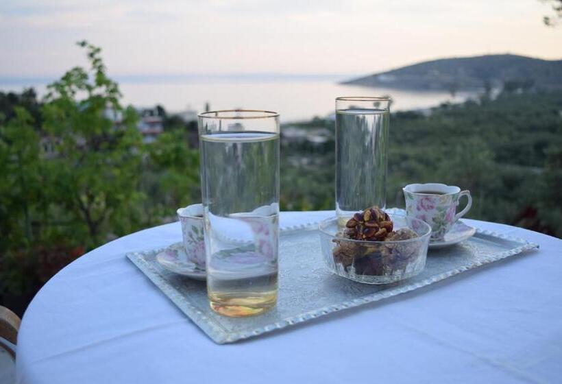 پانسیون Belvedere Adriatica