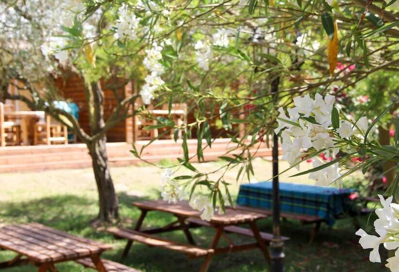 Résidence Les Caraibes