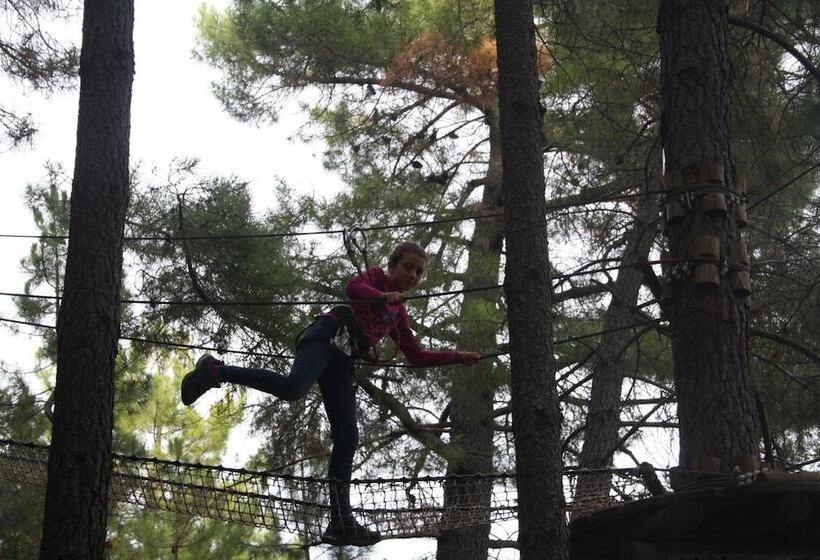 ペンション Complejo Recreativo Baños Del Sagrario