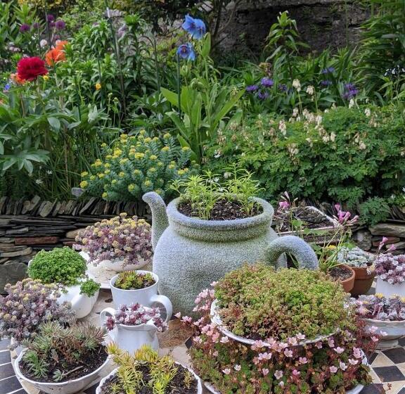 بنسيون Drumfearne Guesthouse & Tearoom
