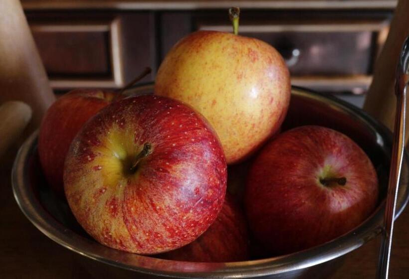 פנסיון Pousada Rural Vista Alegre