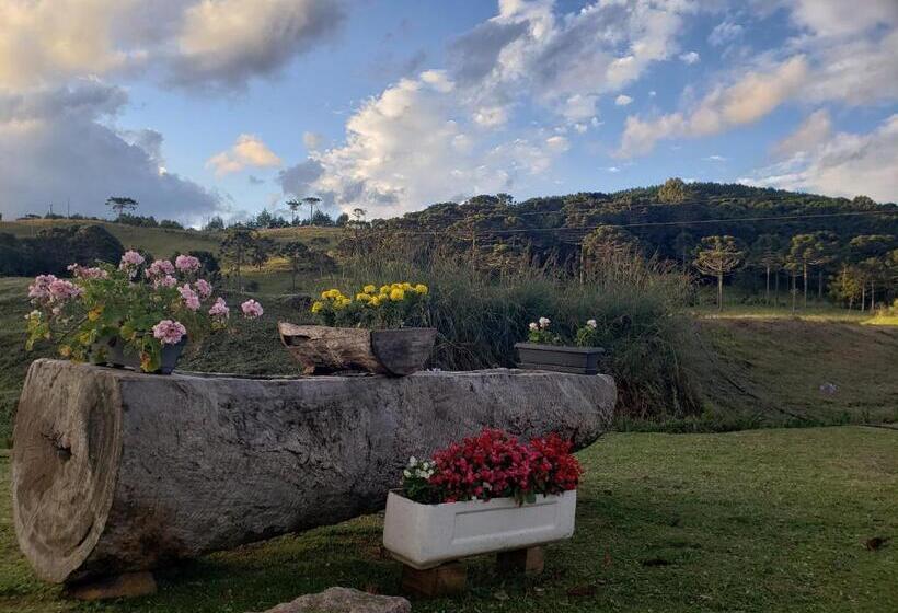 פנסיון Pousada Rural Vista Alegre