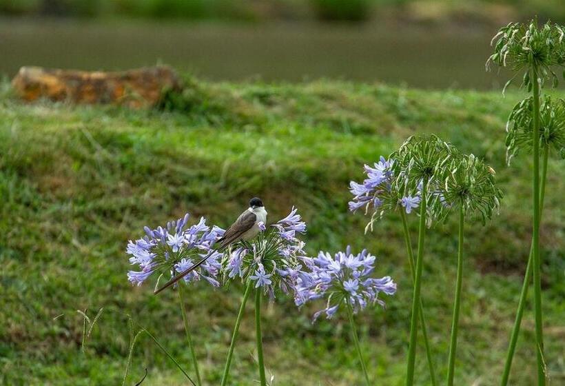 פנסיון Pousada Rural Vista Alegre
