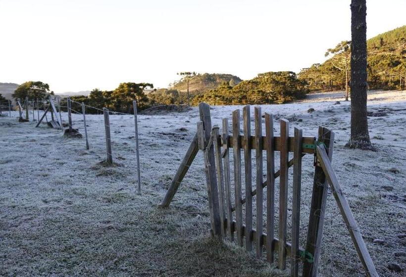 פנסיון Pousada Rural Vista Alegre