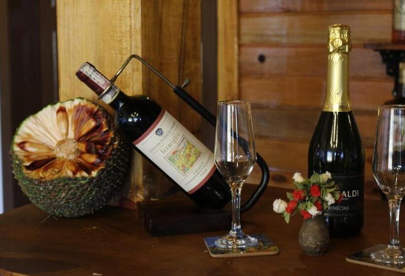 פנסיון Pousada Rural Vista Alegre