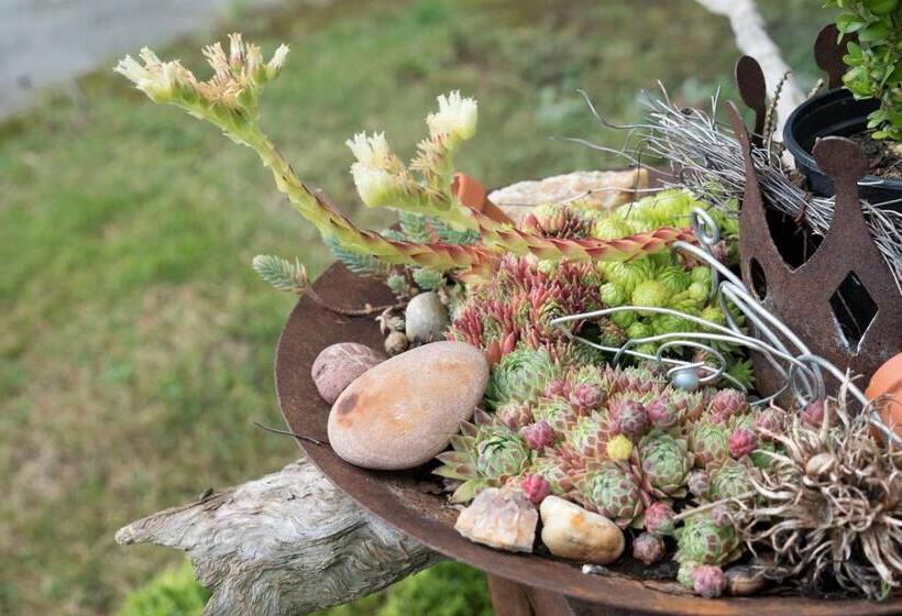 Pension Zum Ebenstein Am Donausteig