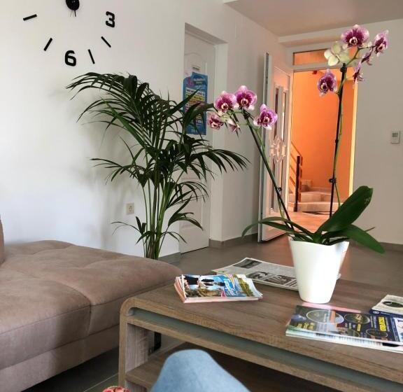 Boró Apartman