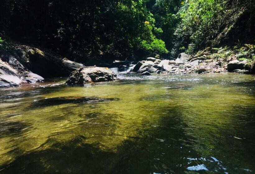 پانسیون Montes De Beraka