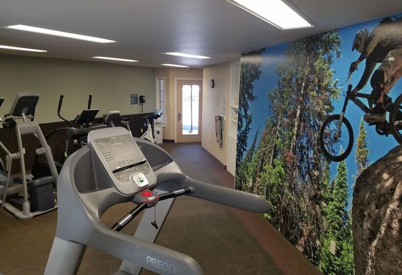 Мотель Redwood Hyperion Suites