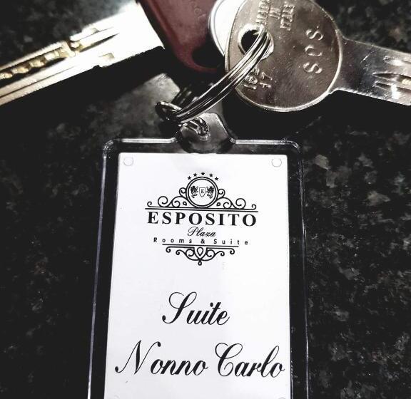پانسیون Esposito Plaza S & Suite