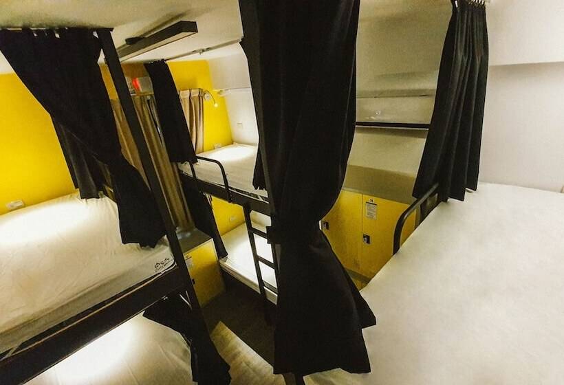 هاستل Central Woods