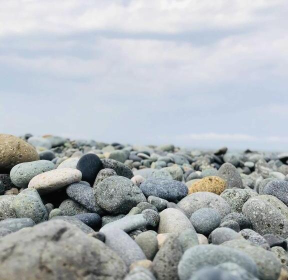 پانسیون George's House