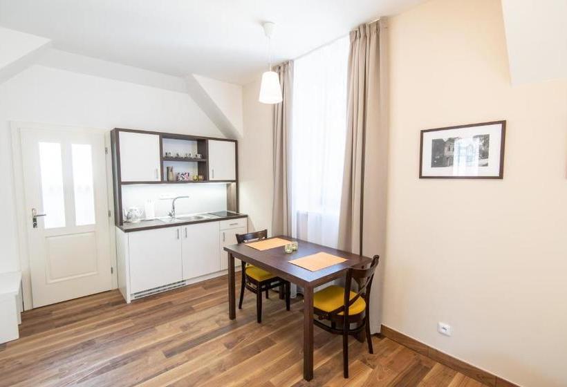 بنسيون Penzion Vila Slavia