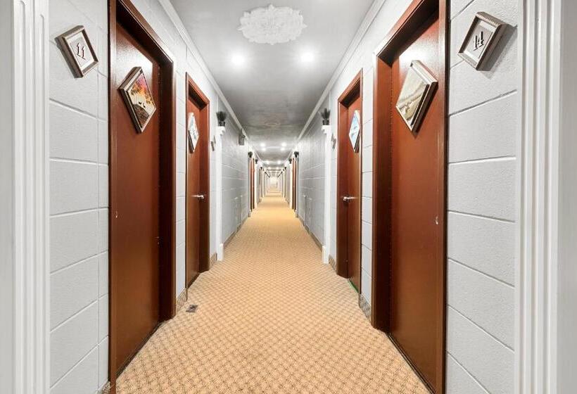 호스텔 Auberge Pique Nique