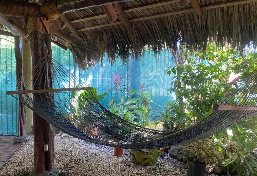 بنسيون Mauras Tropical Mini Hostel & Tours