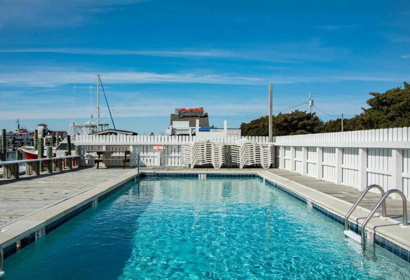 ユースホステル The Anchorage Inn And Marina