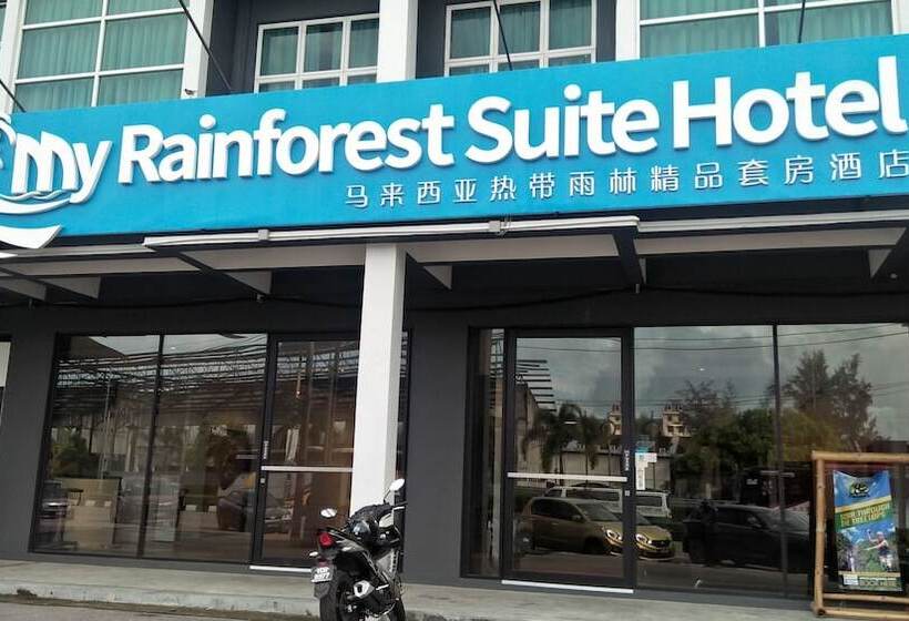 My Rainforest Suite